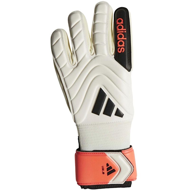 Adidas Copa Gl Lge Jr Goalkeeper Gloves S.5 clothing