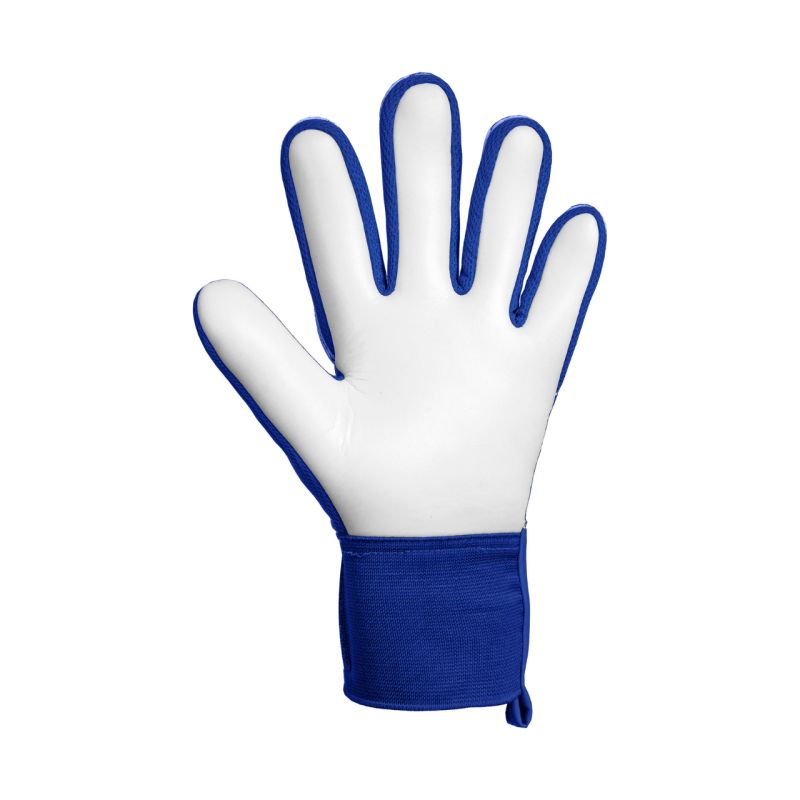 Reusch Attrakt Starter Solid Goalkeeper Gloves 5670514 kék kapuskesztyű