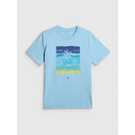 4F Men's regular printed T-shirt póló 4FRSS26TTSHM4291-34S