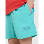 Boys' boardshorts 4F 4FJWSS25UBDSM117-47S 158/164 short