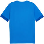 Puma teamGOAL Matchday Jersey Póló