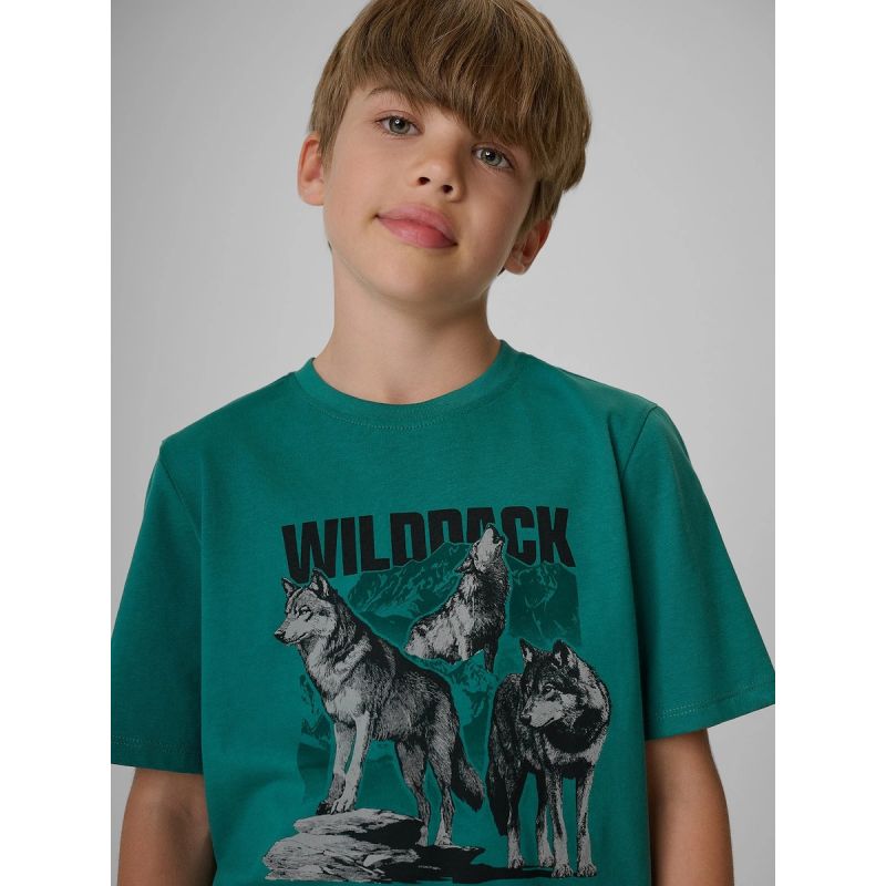 4F Boy's regular printed T-shirt gyerek póló