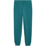 Puma ESS 2 Color No. 1 Logo Kids Pants Green 693892