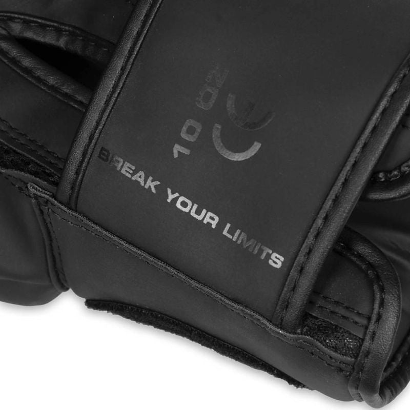 DBX Bushido 10oz Boxing Gloves - Raptor - Origin Series fekete kesztyű