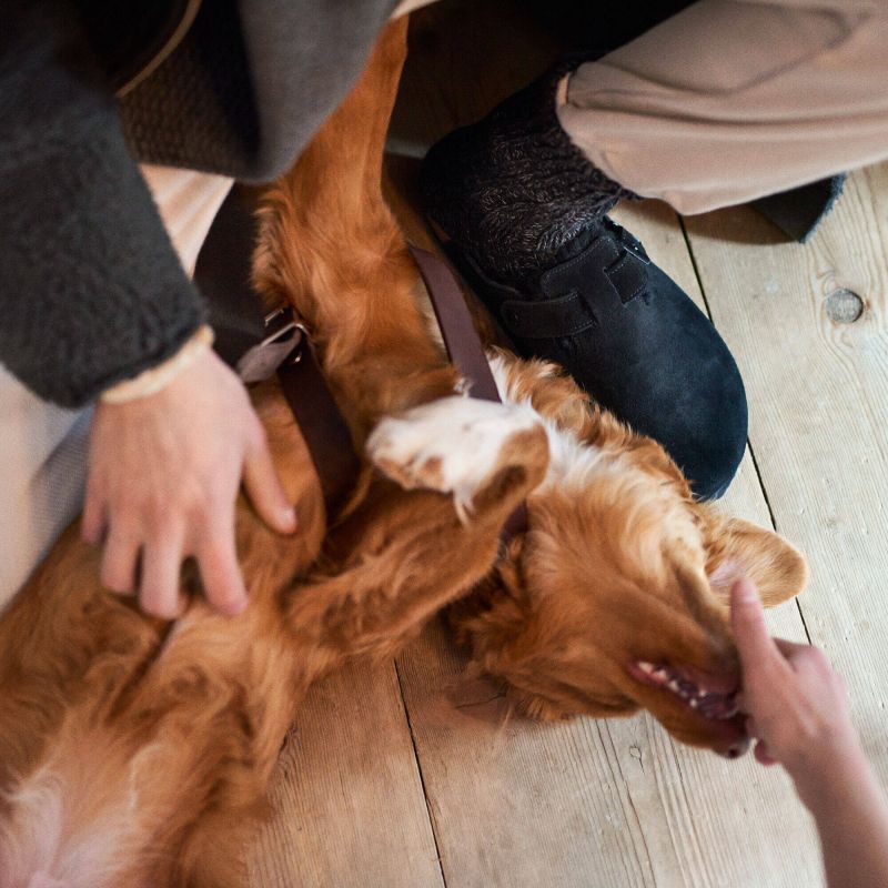 Birkenstock Boston Shearling Black Women's Wool Insulated Clogs in Suede Leather Narrow (0259883) Kiegészítő