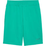 Puma ESS No.1 Logo 10" Men's (s) 682595 zöld short