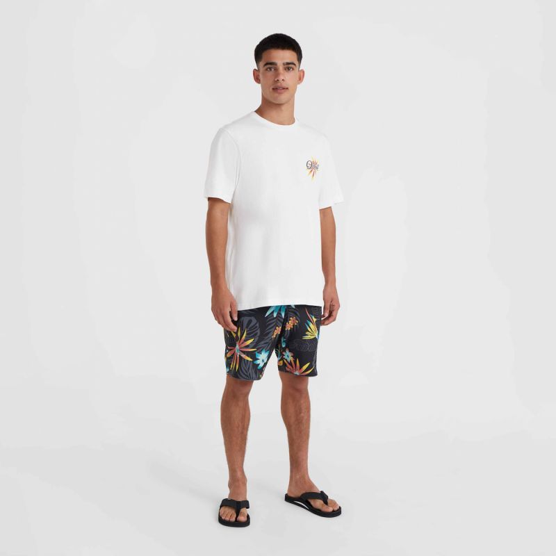 O'Neill Beach Graphic T-Shirt fehér póló