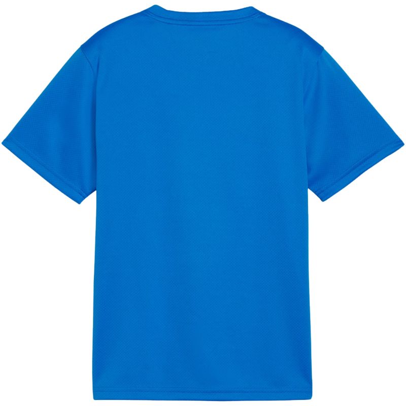 Puma TeamGoal Jersey for kids blue 658637 02 Ruházat