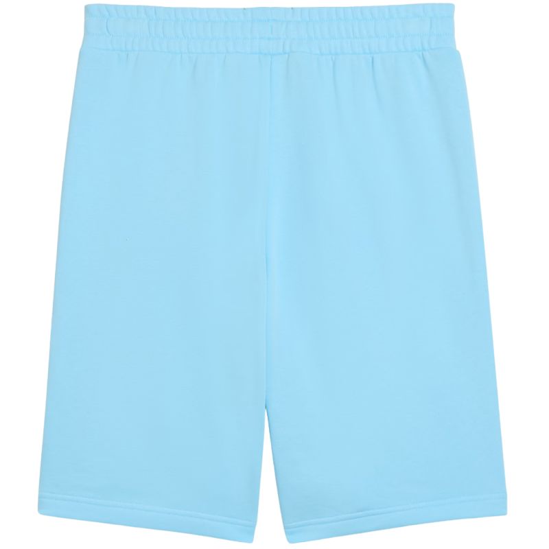 Puma ESS No.1 Logo 10" Men's (s) Light 682595 kék short