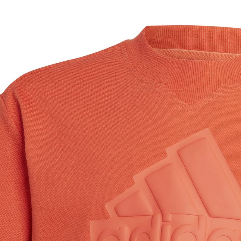 adidas T-shirt adidas FI Logo Tee Jr. HR6296 Póló