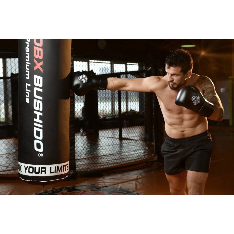 DBX Bushido 10oz Boxing Gloves - Eclipse - Origin Series kesztyű