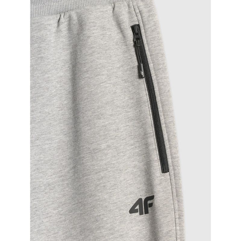 Men's jogger sweatpants 4F 4FRMM00TTROM2020-27M nadrág
