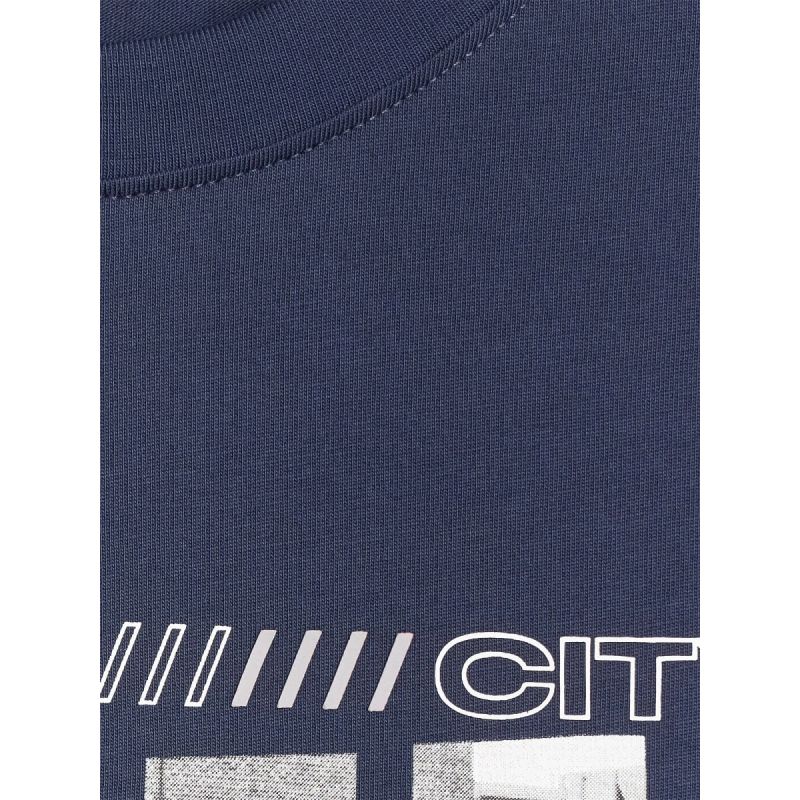 Men's regular printed T-shirt 4F 4FRAW25TTSHM3364-31S