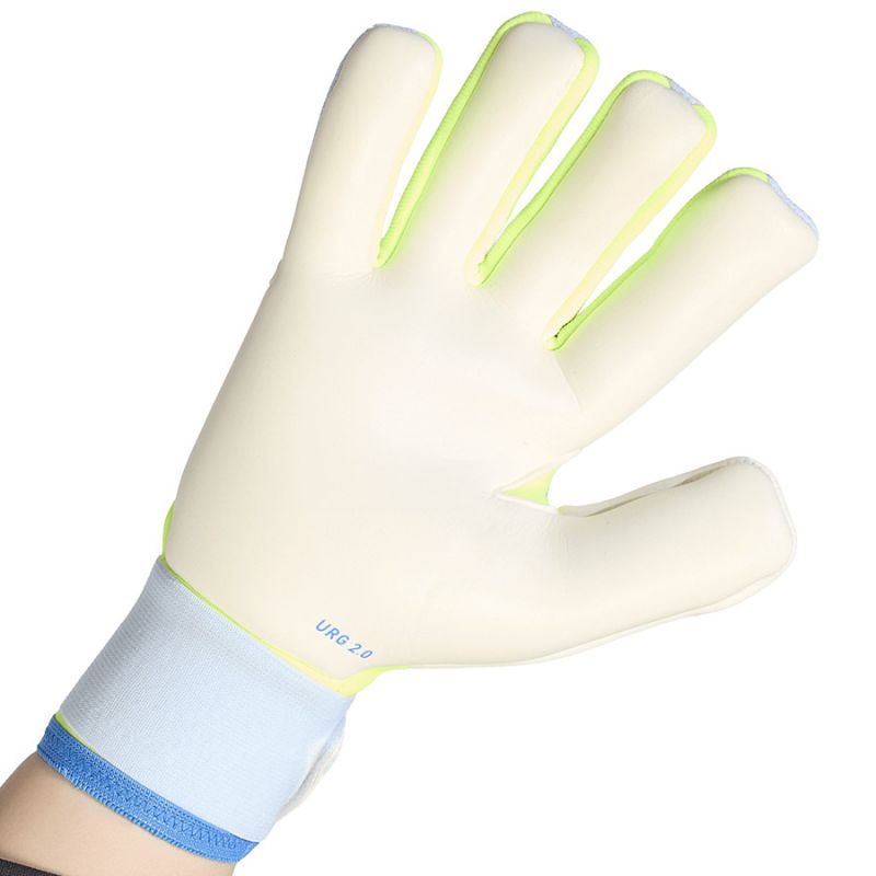 Kép alternatív szöveg