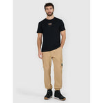 Men's regular printed T-shirt 4F 4FRAW25TTSHM3377-20S póló