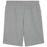 Puma teamGOAL Casuals Shorts