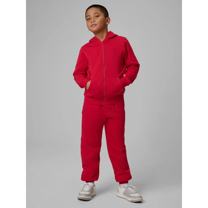 Boy's regular hooded sweatshirt 4F 4FJRSS26TSWSM2749-62S sweatshirts