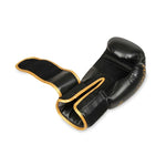 DBX Bushido 8oz Boxing Gloves - Hawk - Origin Series kesztyű