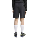 adidas Entrada 26 Training kids' black JZ9131 fekete short