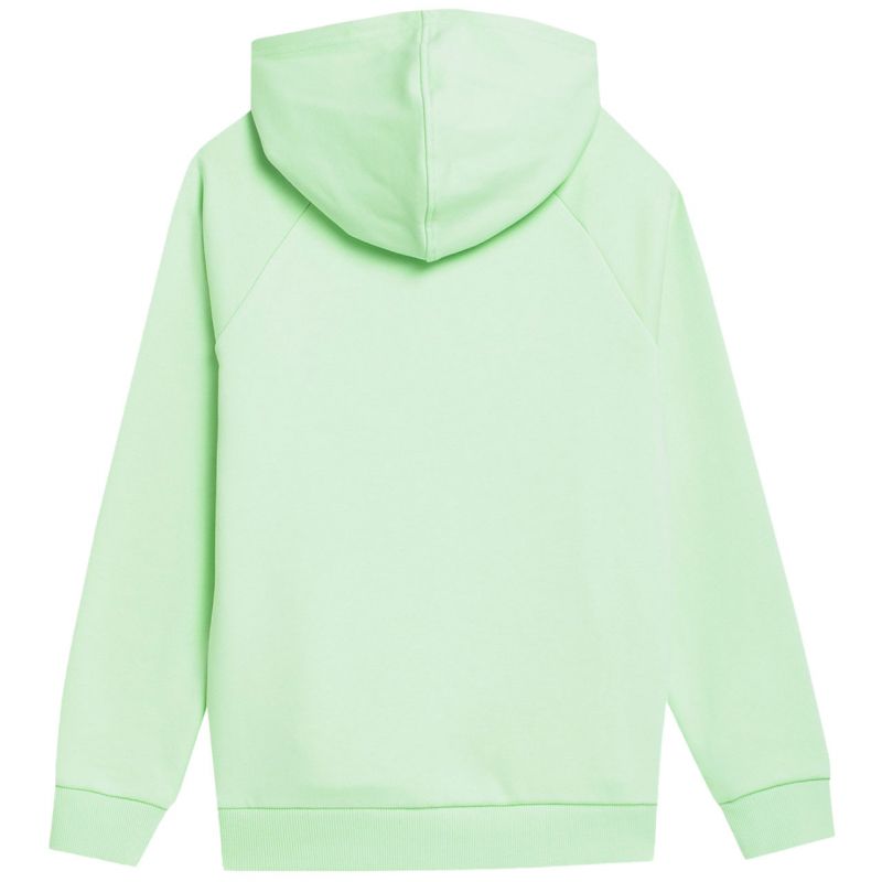 Sweatshirt 4f Jr. 4fjss23tswsm220 42s