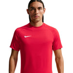 Nike Dri-Fit Park VIII Men's T-Shirt Red HV8173 piros póló