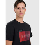 Men's regular printed T-shirt 4F 4FRAW25TTSHM3224-20S póló