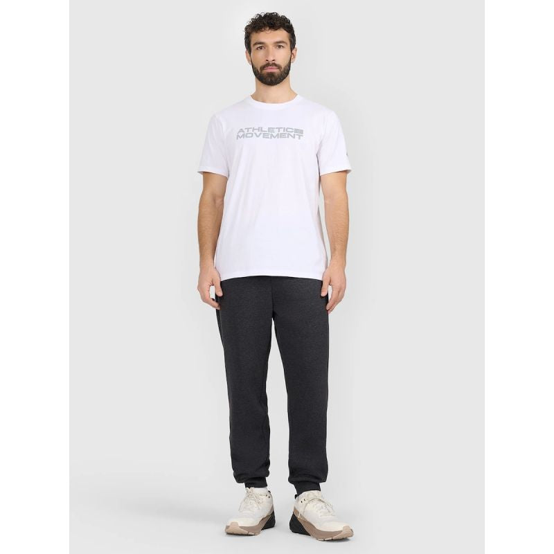 Men's regular printed T-shirt 4F 4FRAW25TTSHM3384-10S póló