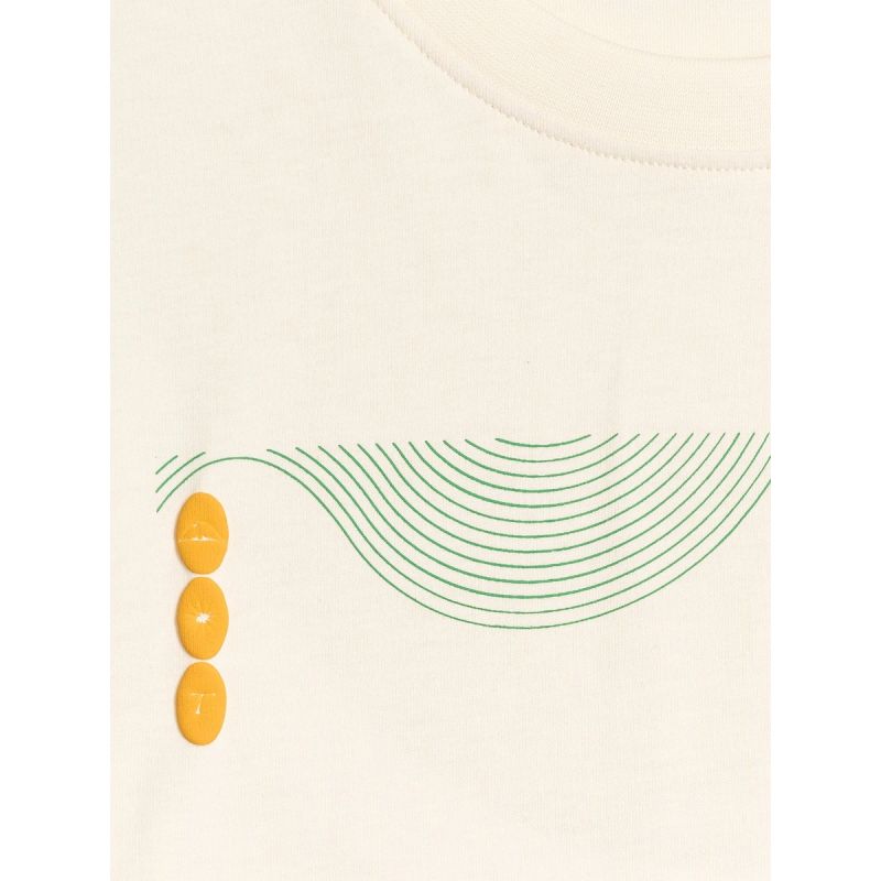 Men's regular printed T-shirt 4F 4FRAW25TTSHM3378-11S póló