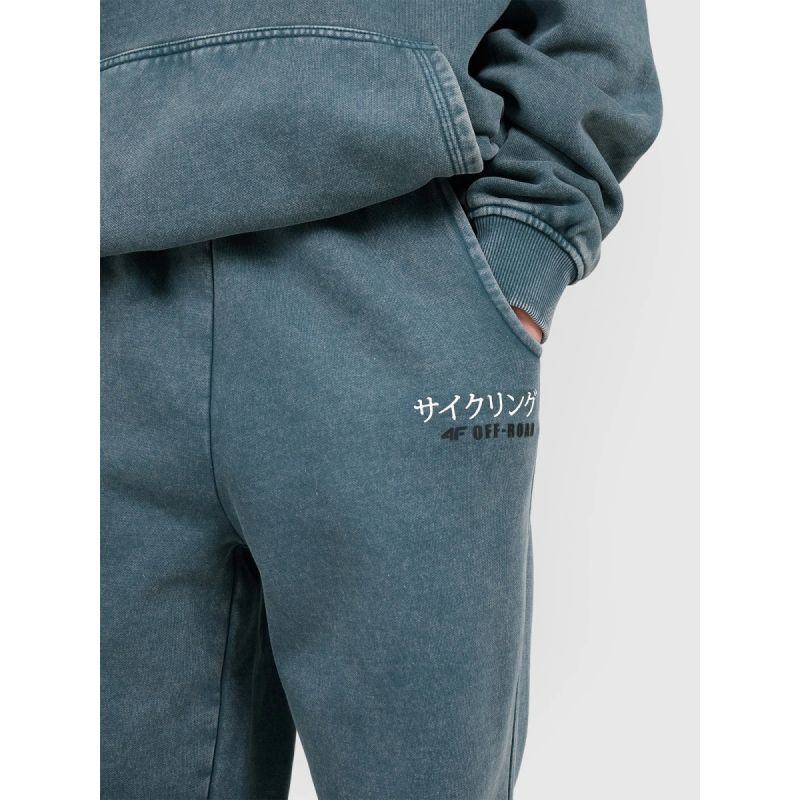 Boys' jogger sweatpants 4F 4FJRAW25TTROM1528-46S