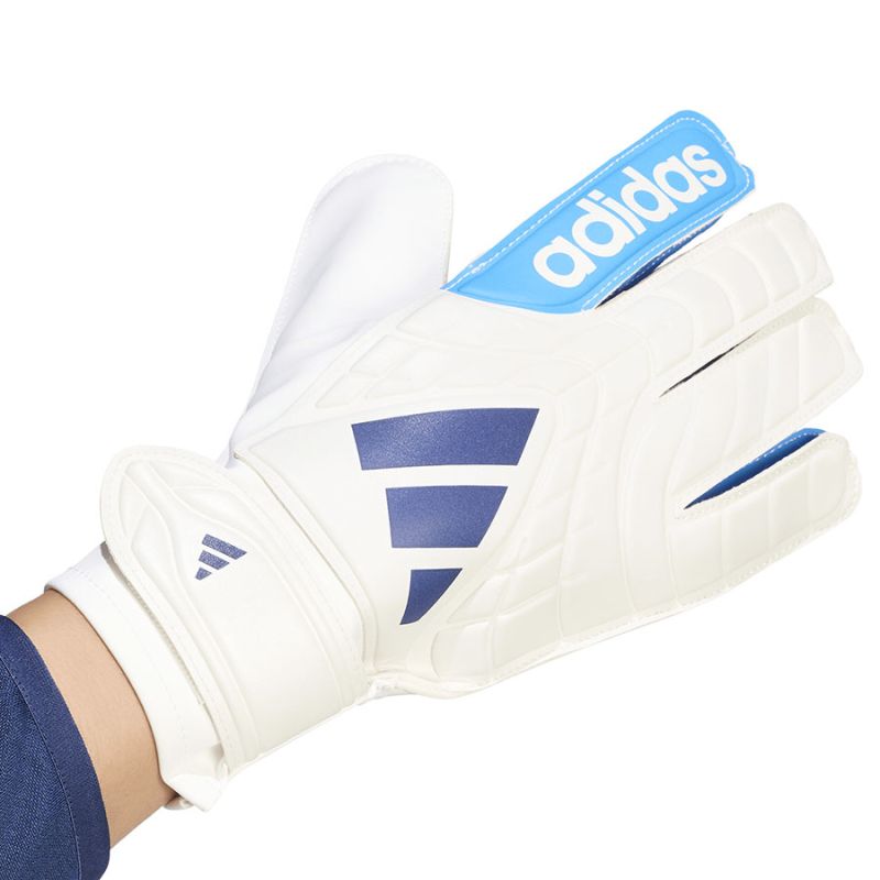 Adidas Copa GL Club Gloves kapuskesztyű KE9731