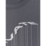 Men's regular printed T-shirt 4F 4FRAW25TTSHM3845-22S póló