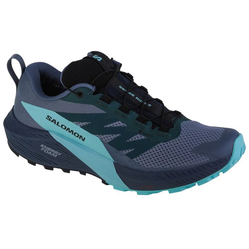 Shoes Salomon Sense Ride 5 Gtx M 471474