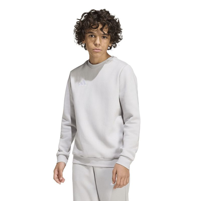 adidas Entrada 26 Sweat Top for kids JZ6551 szürke pulóver