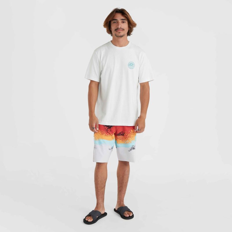 O'Neill JS Senic T-Shirt bézs póló