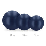 Gym 65cm BLUE FITBALL 65 cm labda