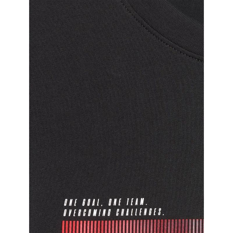 Men's regular printed T-shirt 4F 4FRAW25TTSHM3224-20S póló
