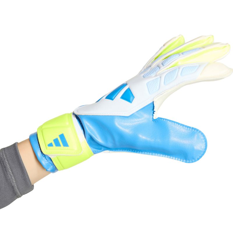 Kép alternatív szöveg