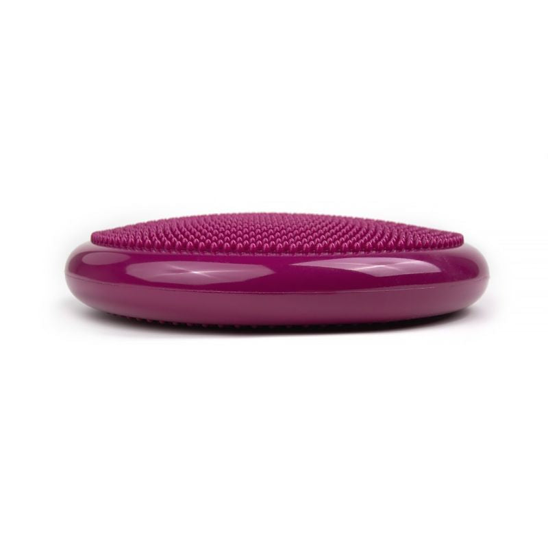 Tiguar stabilizing disc (air disc) DR- lila edzőfelszerelés TI-AD0011