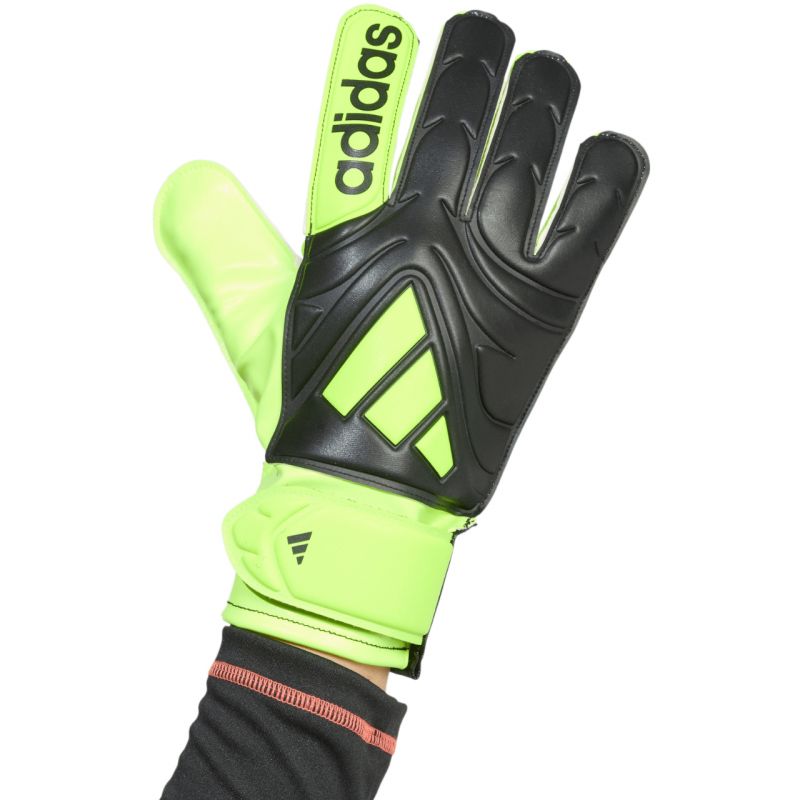 adidas Copa Club JN5340 Goalkeeper Gloves Kesztyű