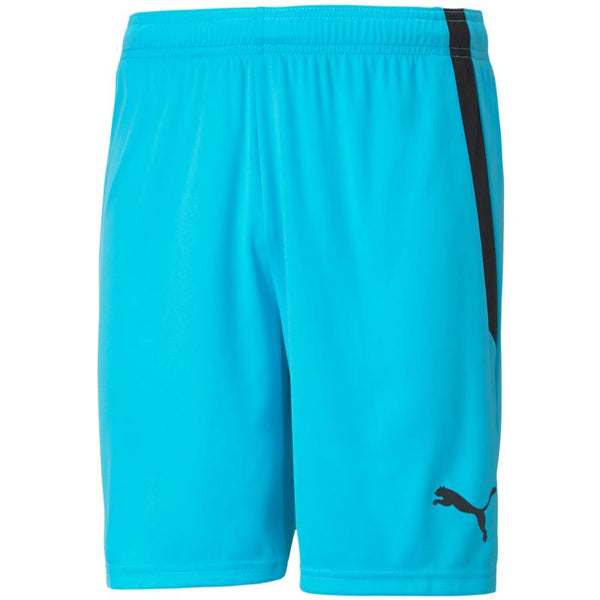 Puma teamLIGA M 704924 40 shorts Nadrág