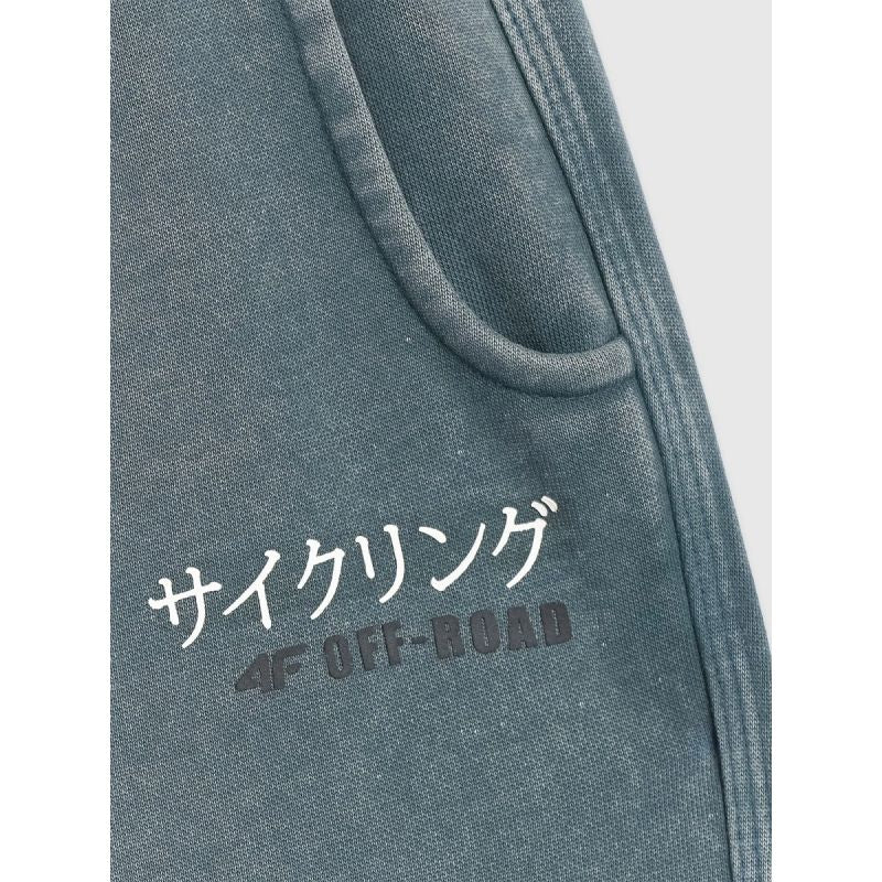 Boys' jogger sweatpants 4F 4FJRAW25TTROM1528-46S