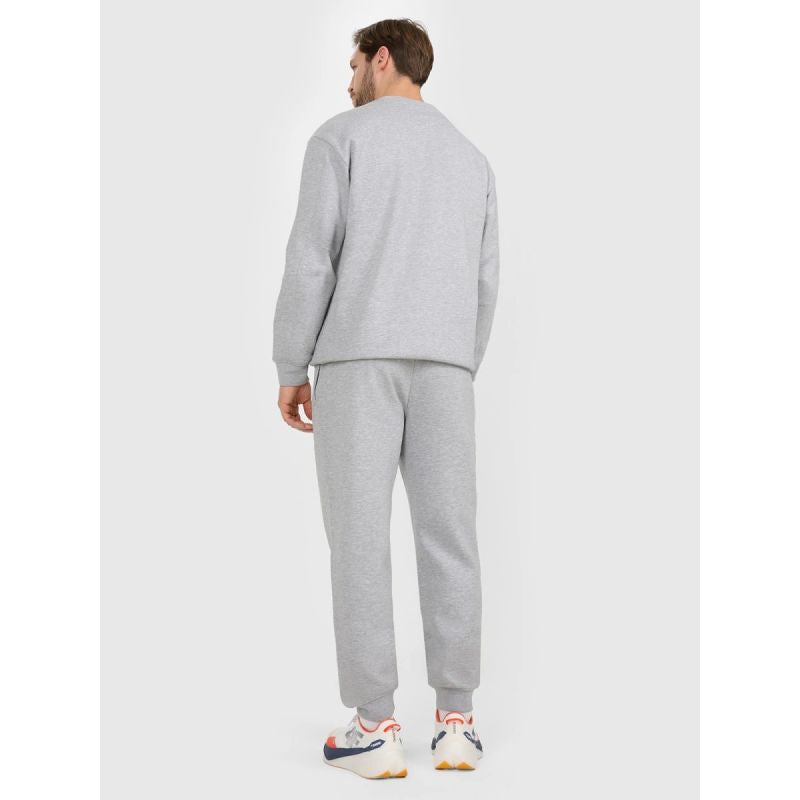 Men's jogger sweatpants 4F 4FRAW25TTROM1832-27M melegítőnadrág
