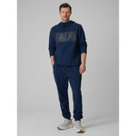 4F Men's regular hooded sweatshirt pulóver 4FRSS26TSWSM2975-31S