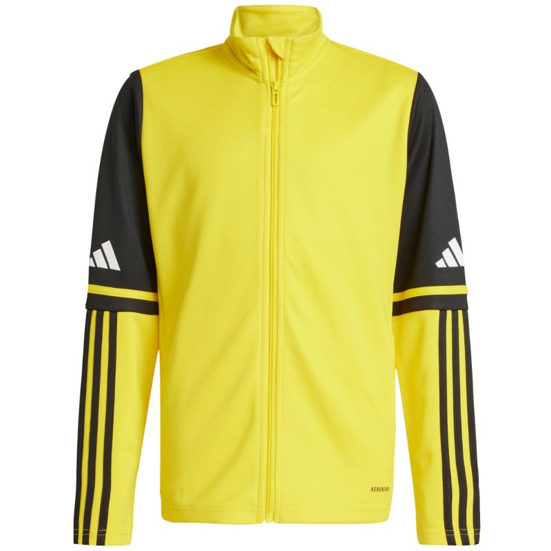 Adidas Squadra 25 Training M JP3388 sweatshirt Pulóver