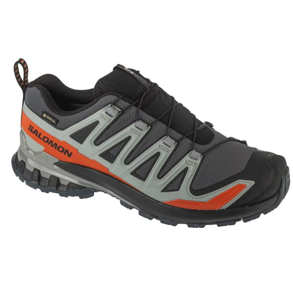Salomon XA Pro 3D v9 GTX L47817500 Gray 40 General