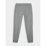 Men's quick-drying training 4F 4FWAW24TFTRM681-25M 3xl nadrág