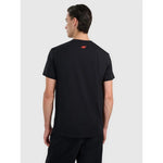 Men's regular printed T-shirt 4F 4FRAW25TTSHM3224-20S póló