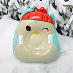 Meteor Owl Snow Slide