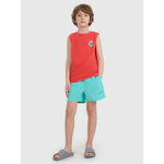 Boys' boardshorts 4F 4FJWSS25UBDSM117-47S 158/164 short
