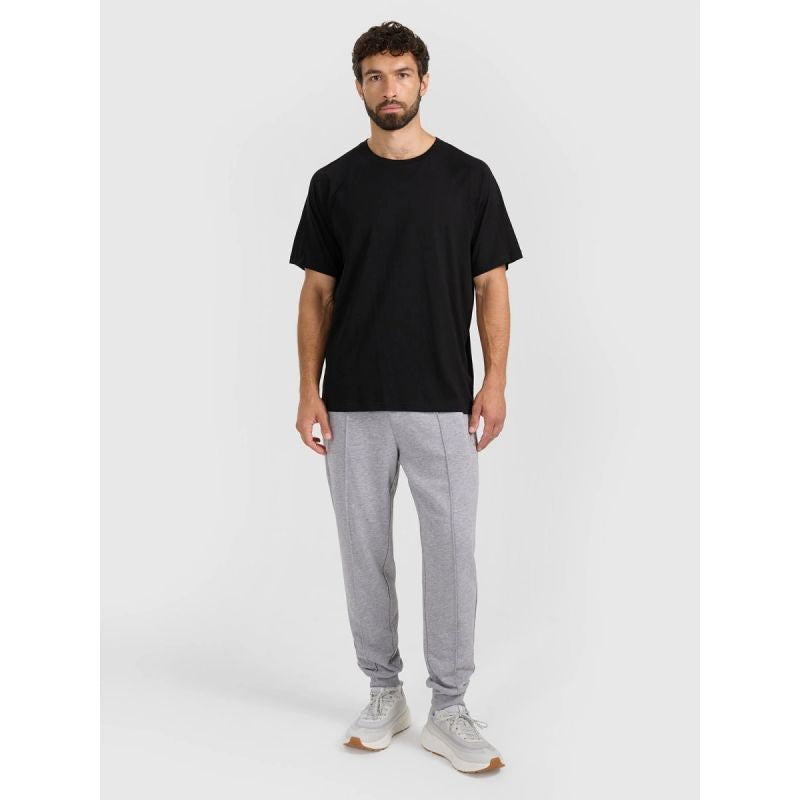 Men's jogger sweatpants 4F 4FRAW25TTROM1671-27M